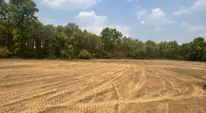 latest property