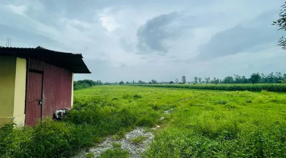 latest property