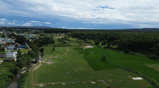 latest property